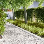 vidaXL Obrubník trávnika 50 pcs Biela 100 x 0,05 x 15 cm