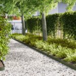 vidaXL Obrubník trávnika 20 pcs Olivová zelená 100 x 0,05 x 15 cm