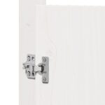 vidaXL Dvere do vonkajšej kuchyne Biele 50x9x82 cm Masívne boravicové drevo – Obrázok 8