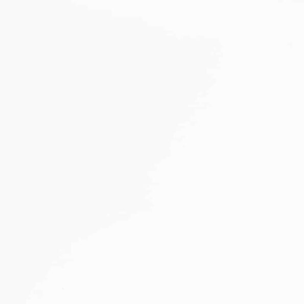 8721158561077_g_en_hd_7.jpg vidaXL jedálenské stoličky s vankúšmi 2 ks Biela guma masívneho dreva – Obrázok 9