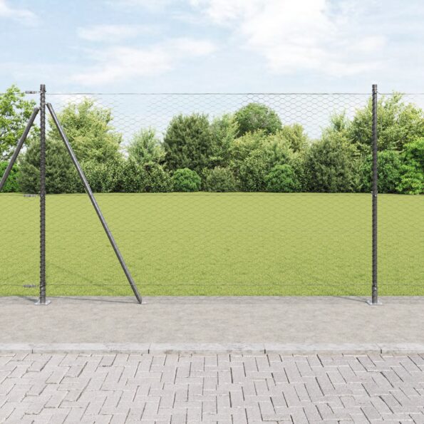 3353635_1.jpg vidaXL Hexagon oplotenie šedé 1,5x10 m oceľ – Obrázok 1