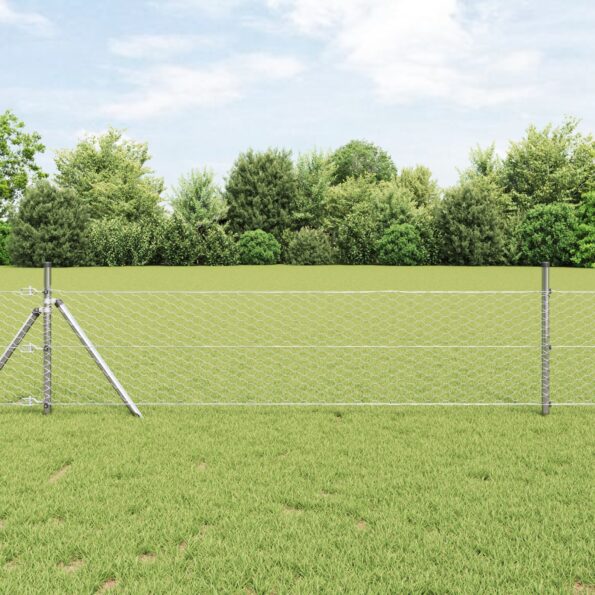 42005636_1.jpg vidaXL Hexagonálne oplotenie 0.6x10 m Zinkovaná oceľ – Obrázok 1