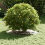 vidaXL keramický kvetináč Biele Keramika Veľký Okrúhly Moderný – Obrázok 3