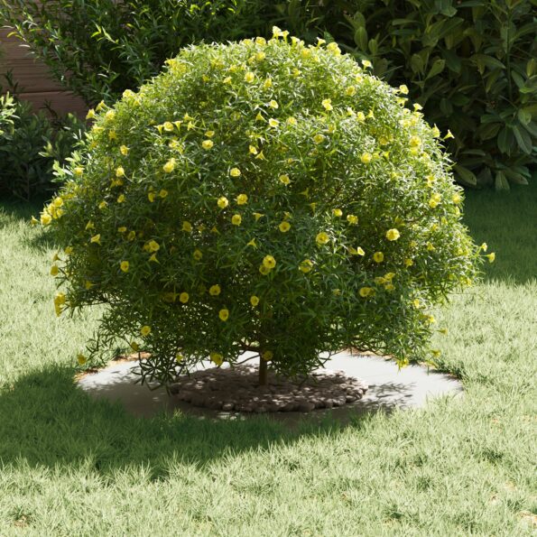 vidaXL keramický kvetináč Biele Keramika Veľký Okrúhly Moderný – Obrázok 3