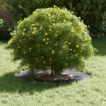 vidaXL Kvetináč z živice Antracit Živica Stredný Kvetináče – Obrázok 3