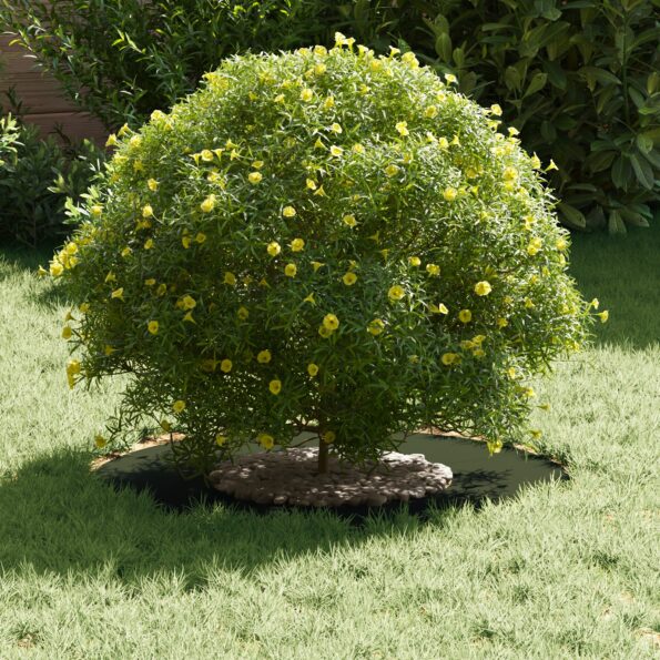 873668_3.jpg vidaXL Plastový kvetináč Olivovo zelený Plast Veľký Kvetináč Okrúhly – Obrázok 3