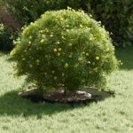 vidaXL Kvetináč olivovej farby Olivová Plast Stredný Dekoratívne vložky – Obrázok 3