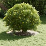 vidaXL Kvetináč z nehrdzavejúcej ocele Nehrdzavejúca oceľ Stredný – Obrázok 3