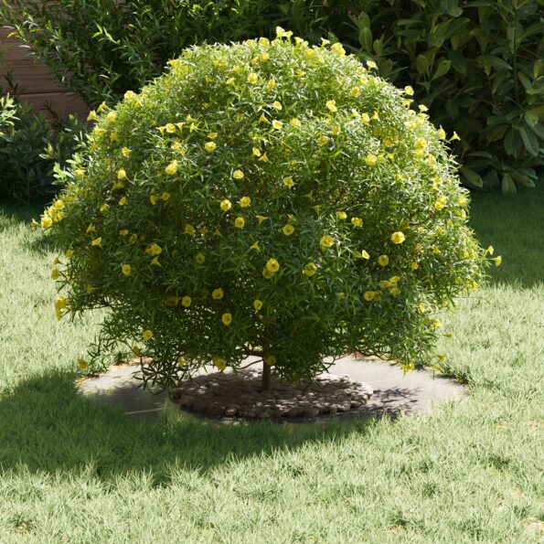 873670_3.jpg vidaXL Kvetináč z nehrdzavejúcej ocele Nehrdzavejúca oceľ Stredný – Obrázok 3