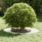 vidaXL Kvetináč z nehrdzavejúcej ocele Nehrdzavejúca oceľ Veľký Odolný – Obrázok 3