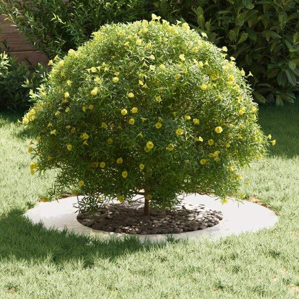 vidaXL Kvetináč z nehrdzavejúcej ocele Nehrdzavejúca oceľ Veľký Odolný – Obrázok 3