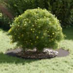 vidaXL Plastový kvetináč Čierny Plast Veľký Dekoratívne vložky – Obrázok 3