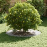 vidaXL Biele kvetináče Biele Plast Veľké Sklápacie Podlahové kvetináče – Obrázok 3