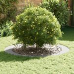 vidaXL Biele Kvetináče Biela Plast Veľký Biely Kvetináč Okrúhly – Obrázok 3