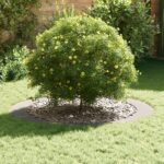 vidaXL Kvetináč z nehrdzavejúcej ocele Nehrdzavejúca oceľ Veľký – Obrázok 3