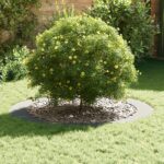 vidaXL Pozinkovaný kvetináč Pozinkovaný Pozinkovaný kov Veľký Odolný – Obrázok 3