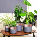 vidaXL Medená páska 6 pcs Medená 2000 x 5 cm