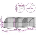 vidaXL Psí kennel s úložiskom 3 pcs Strieborná 6 x 2 x 2 m Oceľ – Obrázok 11