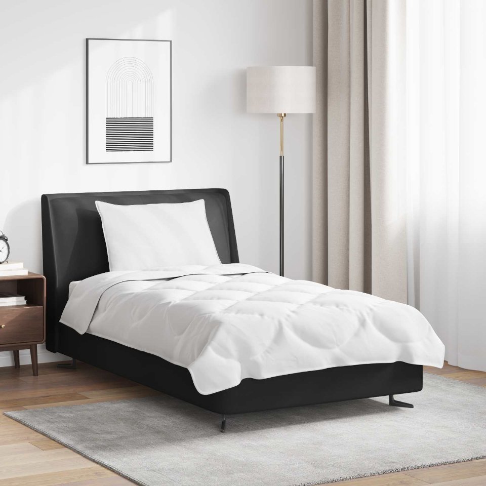 3376814_1.jpg vidaXL Paplón s vankúšom 2 pcs Biela 135 x 220 cm Mikrovlákno – Obrázok 1