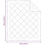 vidaXL Zima-leto perina 3 pcs Biela 260 x 220 cm Mikrovlákno – Obrázok 8