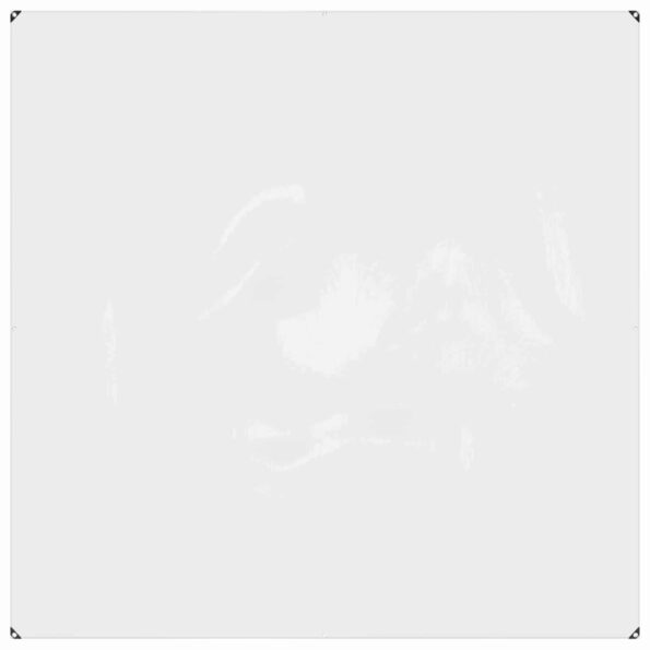 vidaXL Plachta Priehľadná 2 x 2 m PVC – Obrázok 2