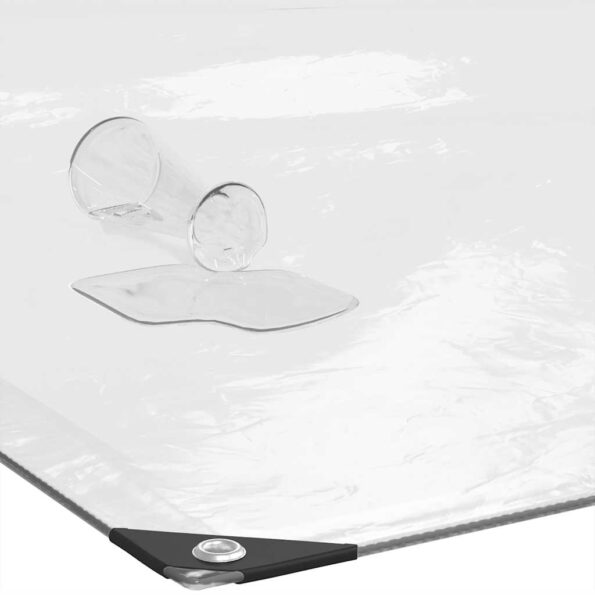 vidaXL Priehľadná plachta s očkami 2x2 m polyetylénová – Obrázok 5