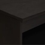 vidaXL Servírovacia skriňa Čierna 60 x 33 x 75 cm Masívne mango drevo – Obrázok 6