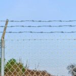 vidaXL Ostnatý drôt Zelená 100 m Pozinkovaná oceľ