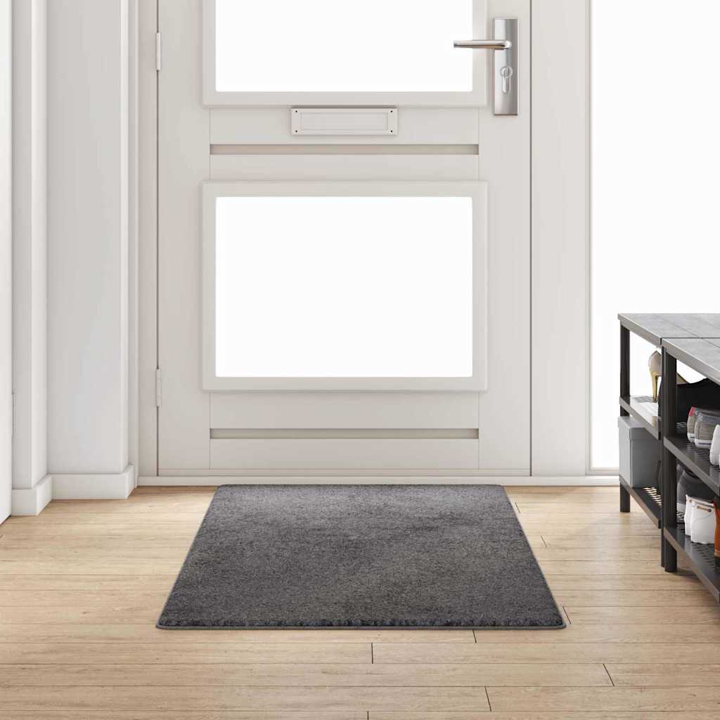 42011389_1.jpg vidaXL Behúň koberec Sivá 80 x 200 cm 100% Polypropylén Tuft – Obrázok 1