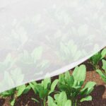 vidaXL Sieť proti hmyzu Biela 3 x 5 m HDPE – Obrázok 5