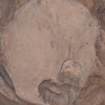 vidaXL Stolička Prírodná 35 x 35 x 35 cm Husté teakové drevo – Obrázok 10