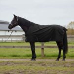 vidaXL Plášť pre kone Tmavozelená a čierna 135 cm Polyester