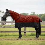 vidaXL Plášť pre kone Tmavozelená a čierna 165 cm Polyester