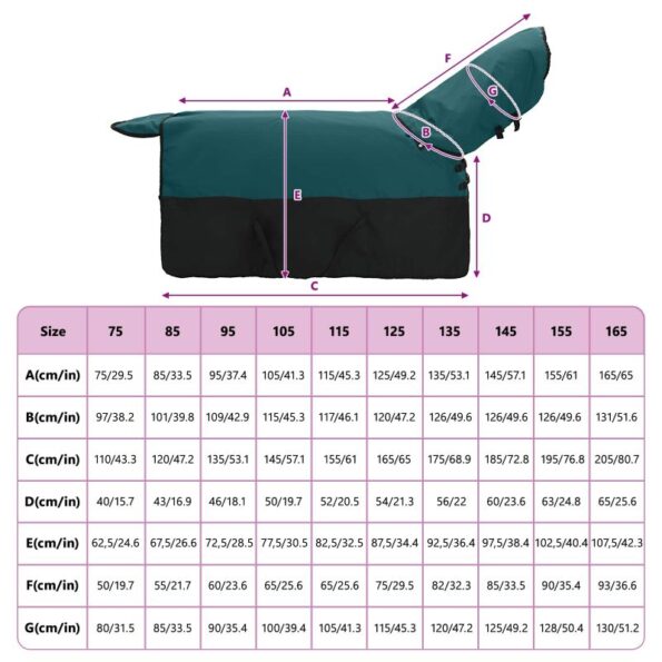 vidaXL Plášť pre kone Tmavozelená a čierna 165 cm Polyester – Obrázok 10