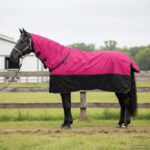 vidaXL Plášť pre kone Ružová a čierna 85 cm Polyester