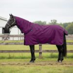 vidaXL Plášť pre kone Tmavozelená a čierna 85 cm Polyester