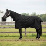 vidaXL Plášť pre kone Tmavozelená a čierna 155 cm Polyester