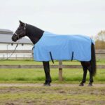 vidaXL Plášť pre kone Plný aqua Polyester