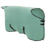 vidaXL Plášť pre kone Špeciálna zelená 165 cm Polyester – Obrázok 3