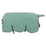 vidaXL Plášť pre kone Špeciálna zelená 165 cm Polyester – Obrázok 4