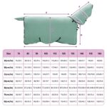 vidaXL Plášť pre kone Špeciálna zelená Polyester – Obrázok 9