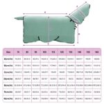 vidaXL Plášť pre kone Špeciálna zelená Polyester – Obrázok 9