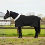 vidaXL Plášť pre kone Čierna 95 cm Polárna fleece