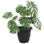 vidaXL Kulatý kvetináč 24 pcs Čierna Ø 26 x 21.5 cm Plast – Obrázok 3