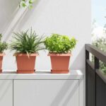 vidaXL Štvorcový črepník na kvety 6 pcs Tehlovo červená