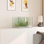 vidaXL Akvárium s úložiskom Priehľadná 40 x 25 x 25 cm Sklo – Obrázok 4