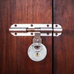 vidaXL Zámky na disk so kľúčmi 2 pcs Strieborná 7 x 2.4 x 7 cm