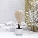 vidaXL Fleece na ochranu rastlín pred mrazom Béžová 100 x 1,6 m – Obrázok 4