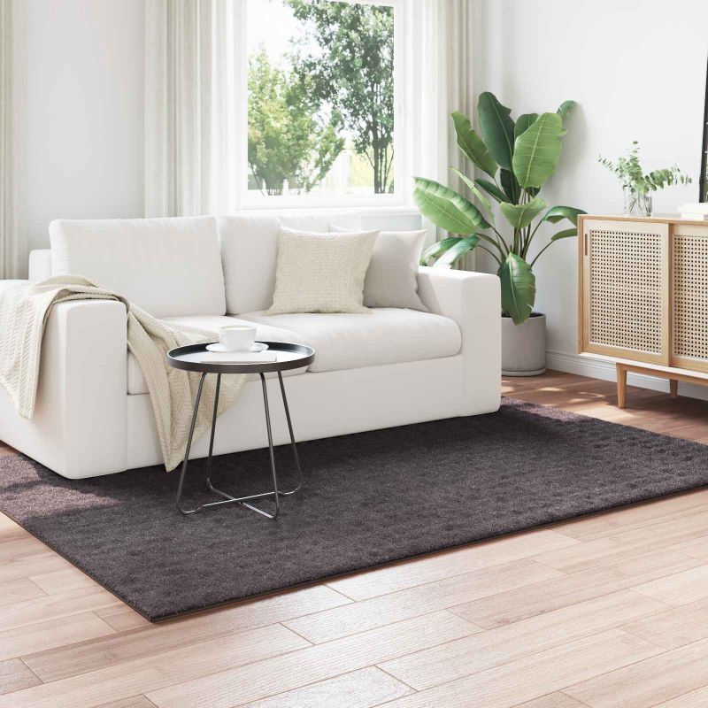 42022780_1.jpg vidaXL Kusové koberce Obdĺžnikový Antracit 170 x 120 cm – Obrázok 1