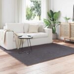 vidaXL Kusové koberce Štvorcový SIROLO Antracit 120 x 120 cm Polyester